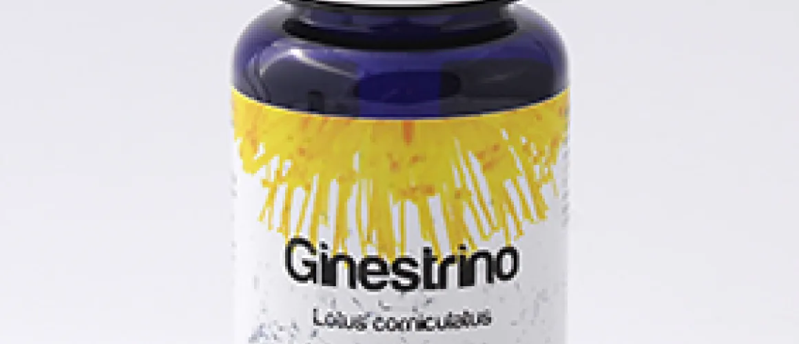 Adattamento e superamento dello STRESS