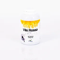 G554 | Vite Rossa 200 capsule