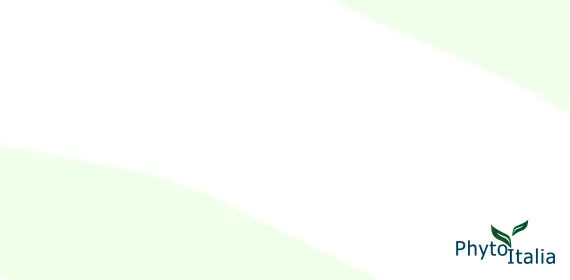 PhytoItalia Nord-Est