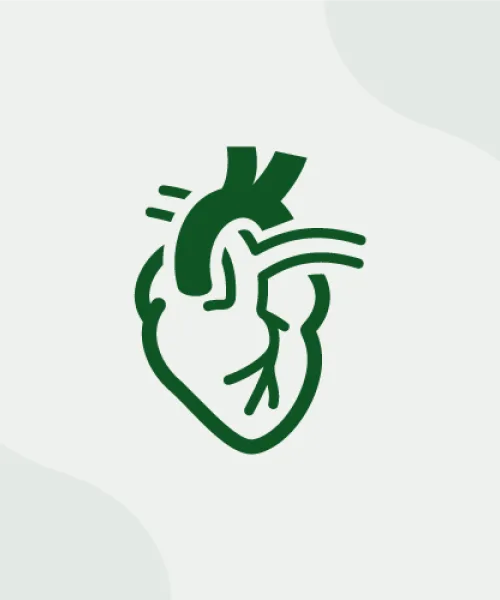 Sistema Cardio-Circolatorio