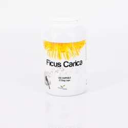 Ficus Carica 200 cps