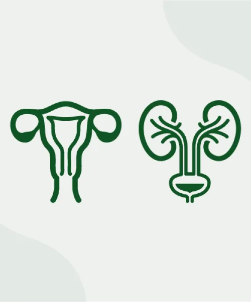 Sistema Genito-Urinario