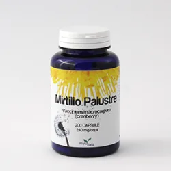 Mirtillo palustre (Cranberry) 200 capsule