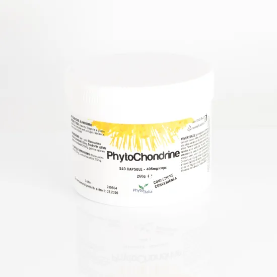 G123 | PhytoChondrine 540 Kapseln