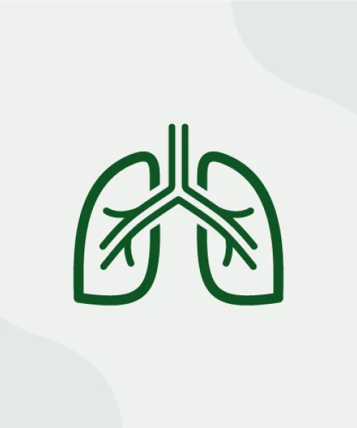 Sistema Respiratorio