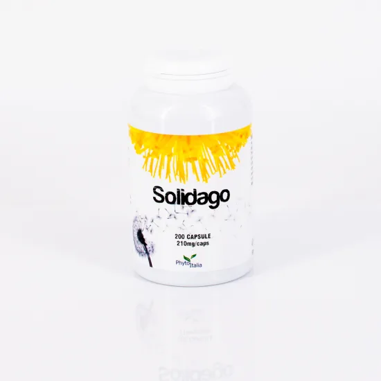 D278 | Solidago 200 Kapseln
