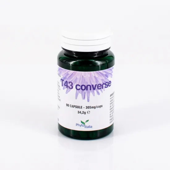 G018 | T43 Converse 90 cps